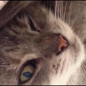 Meet your Posher, Deb